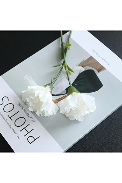 Choice 5pcs WHITE Artificial Flower Silk Write Carnati Valentine's Day Weddin...