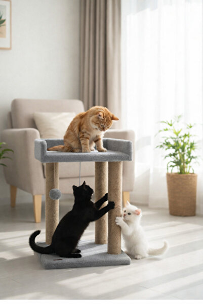 Teraslı Yataklı Ponponlu Kedi Tırmalaması