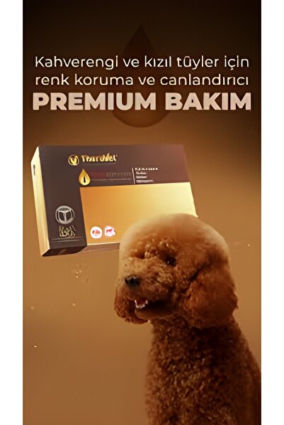 Theravet RCE Kompleks