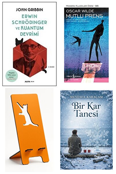 TÜRKİYE İŞ BANKASI KÜLTÜR YAYINLARI Erwin Schrödinger ve Kuantum Devrimi - Ko...