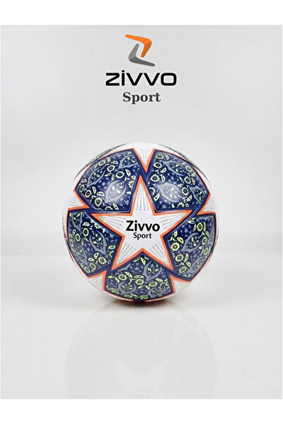 Zivvo كرة قدم ذات سطح صلب، كرة ملعب صلبة، كرة دوري الأبطال، تتضمن مضخة، 4 ألوان