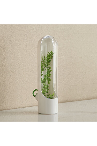 Generic Sistematico Fresh Herb Keeper and Storage - 24.5 cm