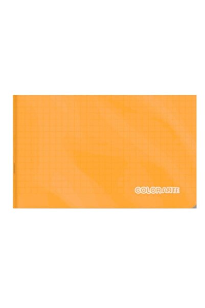 Colorarte Colorarte A5 school notebook, 24 sheets, music, 17x24cm, PP cover 2...