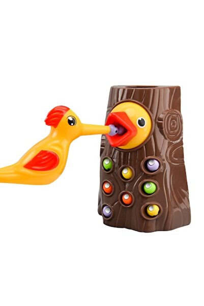 OEM Educational Game, Magnetic Feeding Toy for Birds