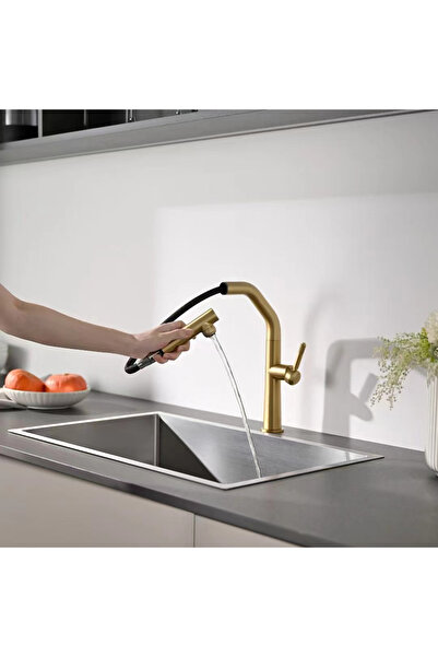 OEM صنبور مطبخ بخاصية تنقية المياه المتحركة، 2 وظيفة، صنبور حلزوني، ضمان 7 سن...