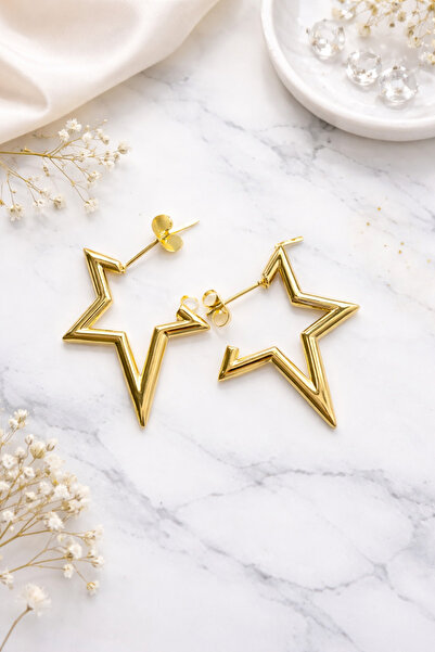 Vipfoni Gold Color Geometric Star Steel Earrings