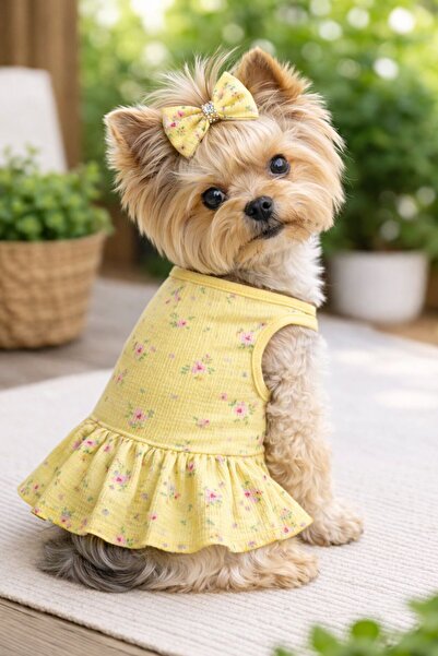 DOGİ&DOG Küçük Irk Lemon Flowers Köpek Kıyafeti Köpek Elbisesi (1-10KG)