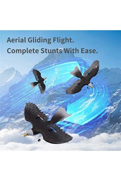 Shopi MUNTAQI HW-40 Remote Control Eagle Plane