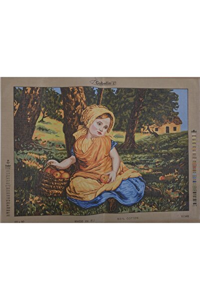 gobelin 60x80 goblen