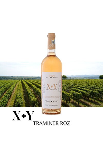 Crama Beciu X+Y | Traminer Roz - Semi-dry Rose Wine 0.75l
