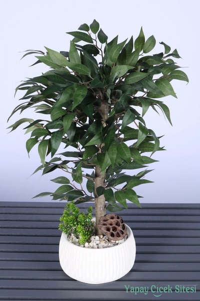 Yapay Çiçek Sitesi Yapay Premium Yapraklı Benjamin Ağacı Tanzimi 55 cm