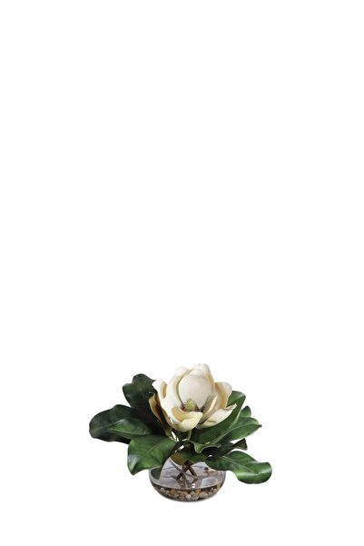 Laromita Decoration VAZODA CELIA MANOLYA