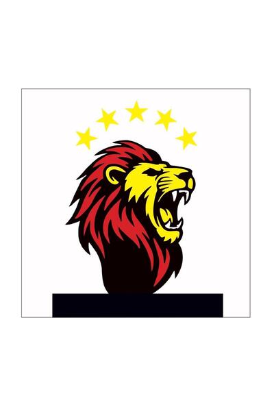 tuvval 20X20 SAYILARLA BOYAMA TUVAL SETİ TARAFTAR G-5 TUVAL + 6 LI BOYA+FIRÇA