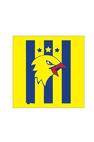 tuvval 20X20 SAYILARLA BOYAMA TUVAL SETİ TARAFTAR F-5 TUVAL + 6 LI BOYA+FIRÇA