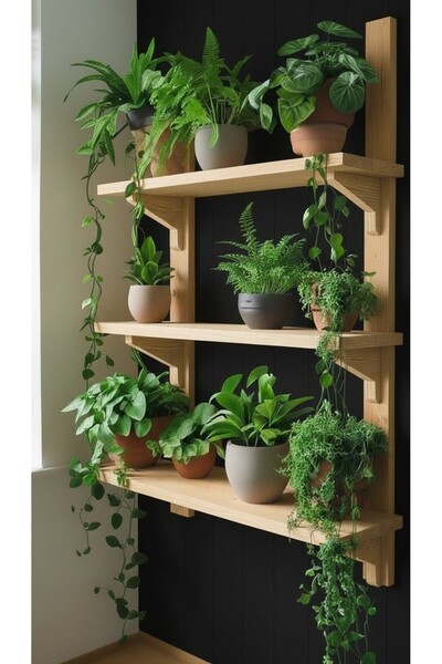 Ev dekka Doğal Çam Masif Ahşap 3 Katlı Duvar Rafı - 80x50 cm Mutfak Banyo Çiç...