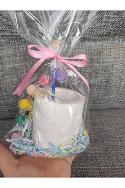 Opulent Accessories Çiçekli saksi boyama seti,10 adet doğum gunu hediyelik,ok...