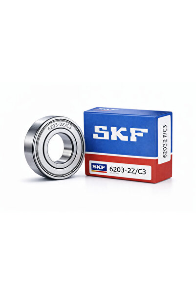 SKF RULMAN
