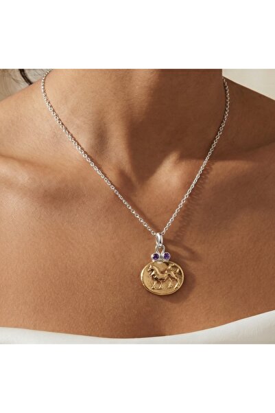 makeitbylove Sultan El Yapımı Ametist Aslan Parası Kolye, Berraklık Sembolü Z...