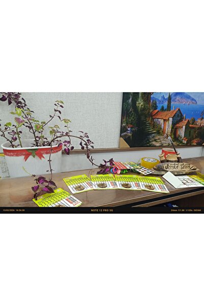 İŞKEMBE İĞNESİ 8 AL 7 ÖDE İŞKEMBE İĞNESÎ (Sürpriz Hediyeli)