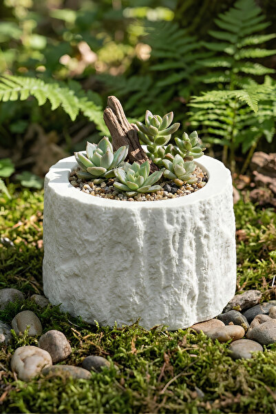 Elizovi Home Natural Stone Textured Decorative Flower Pot & Candle Holder |  ...