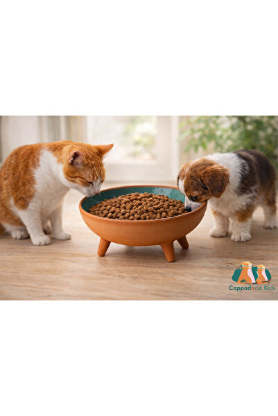 Universal Ayaklı Sırlı Çömlek Kedi & Köpek Maması Kabı (20 CM)