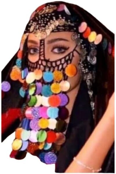 Generic Belly Dance Costume Accessories with Earrings, Belt, Ankle Accessorie...