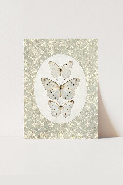 HOME DEKORİSTA Vintage kelebek poster, sanatsal baskı, çocuk odası tablo AN02