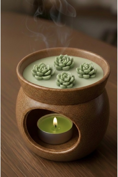 CeyShe Sedir Ağacı Kokulu Aromaterapi %100 Soya Wax Vegan 8 Adet Sukulent Buh...