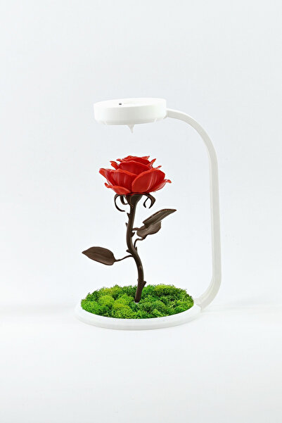 ChillOutlet Decoratiune Trandafir 3D cu licheni naturali si lumina LED 25,5x1...