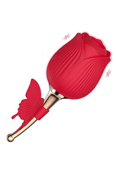 OEM 2 in 1 Sex Toys for Women Vibrator Female Clitoris & Breast Massager