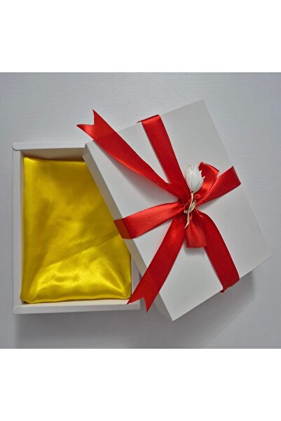 styleFlex Synthetic silk satin scarf set, in gift box + elegant brooch