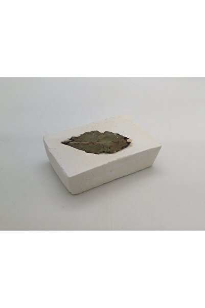 CNT NATURALS Homemade Olive Oil Laurel Soap