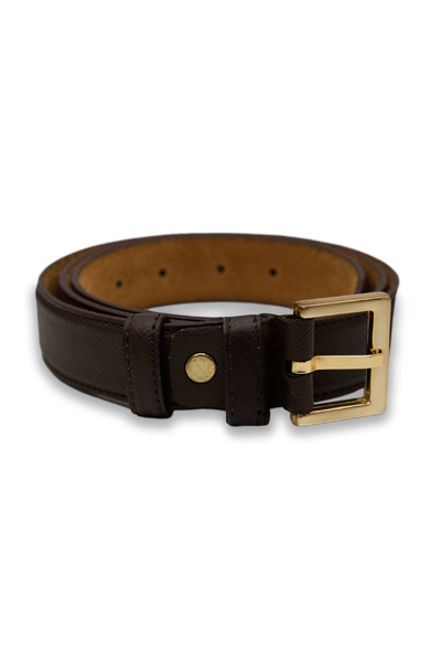Velvoria Women's Brown Color Shiny Gold Buckle Leather Belt