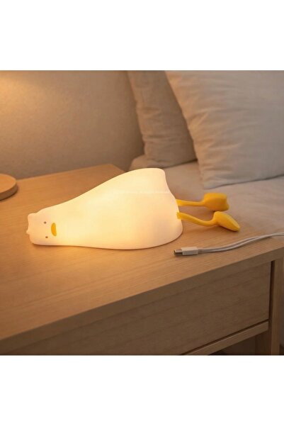 CNS GRUP Dokunmatik Renk Değiştiren Silikon Gece Lambası – Şarjlı, 6 Farklı L...