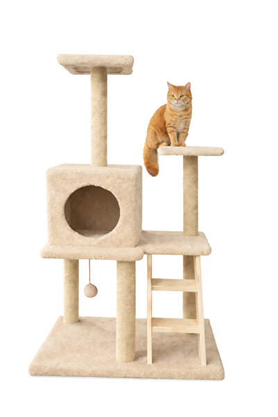Catoys Çok Katlı Kedi Tırmalama Platformu Merdivenli Kedi Evi (Bej)