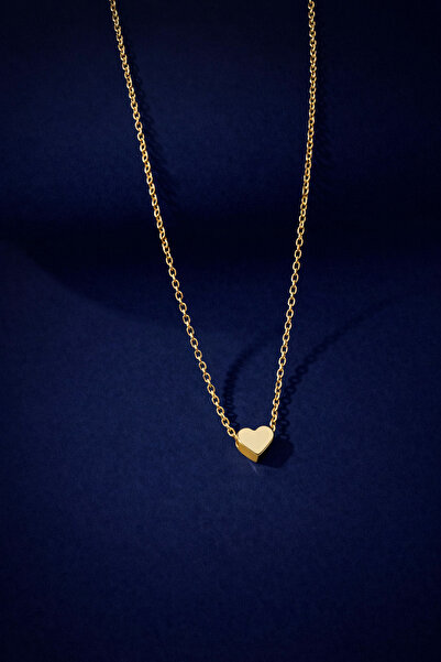 KAR DİAMOND 8 Ayar Altın Uçlu Gümüş Zincirli Minimal Kalp Kadın Kolyesi Serti...