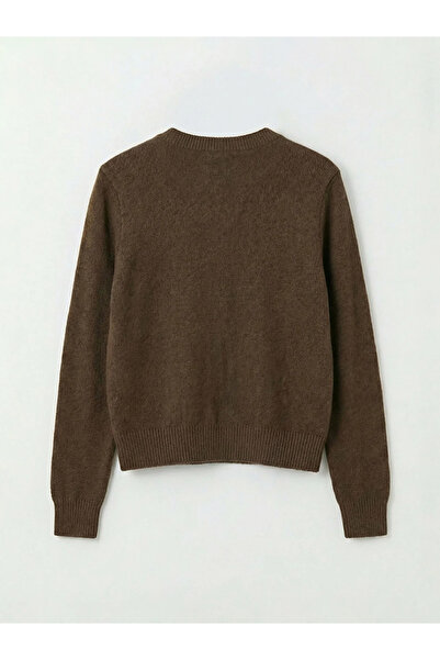 LC Waikiki Brown Crew Neck Women's Knitwear Cardigan