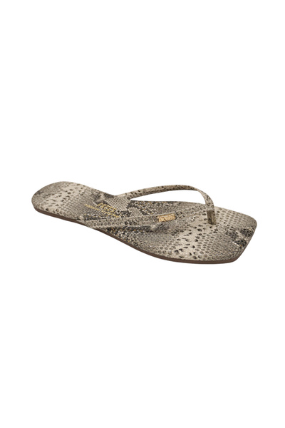 Tkees Women's Square Toe Gray Snake Patterned Stylish Daily Slippers