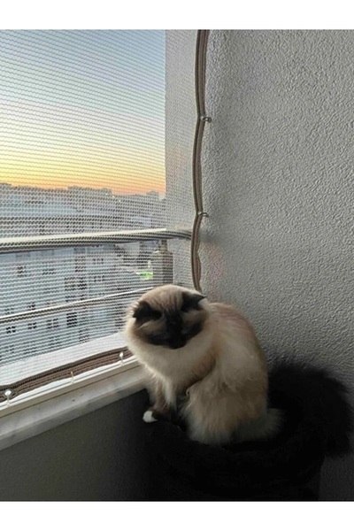 Ekodoğa Kuş Filesi 1,5x2,5 M Balkon Filesi Kedi Filesi Dolu Filesi Misina Fil...