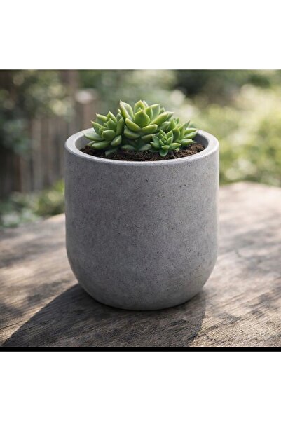 Store Gri Beton saksı 6L 24x24