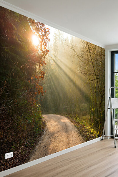 MİRAZAWALL Gün Işığı Orman Yolu Doğal Görünümlü Tek Parça Tekstil Duvar Kağıdı