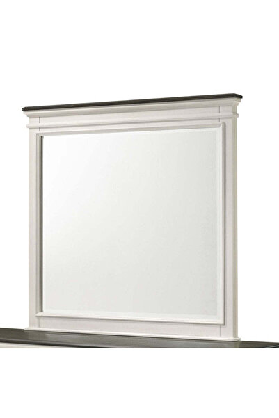 Roots Furniture مرآة جناح الأحلام المصنوع من الخشب الطافي