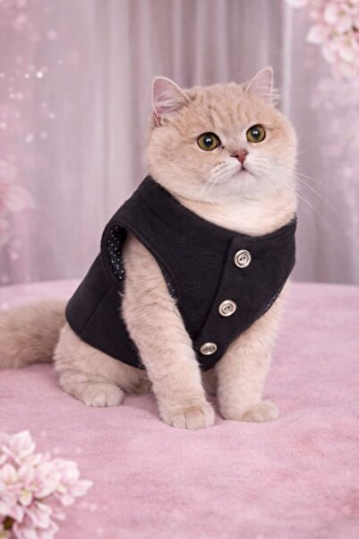 STEELVA سترة للقطط والكلاب من الصوف باللون الأزرق الداكن، ملابس للحيوانات الأ...