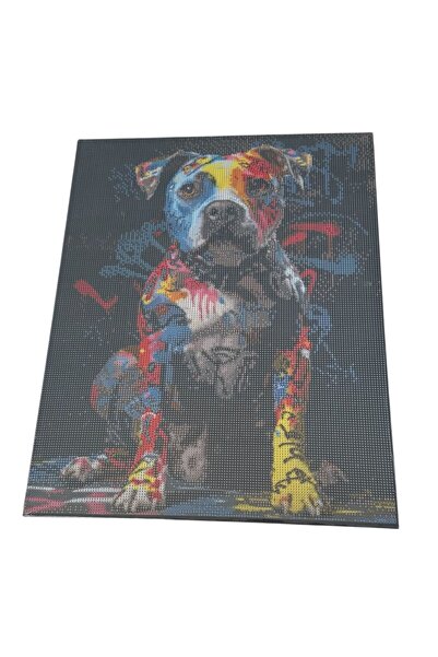 ADIRI SHOP Tablou cu diamante – Câine artistic în culori vibrante, 50 x 39,5 cm