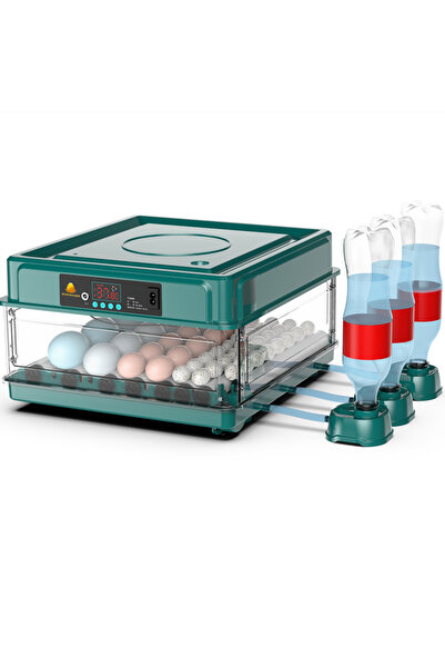 Altın Kuluçka 48 Yumurtalık Dayanıklı Çift Güç Kuluçka Makinesi