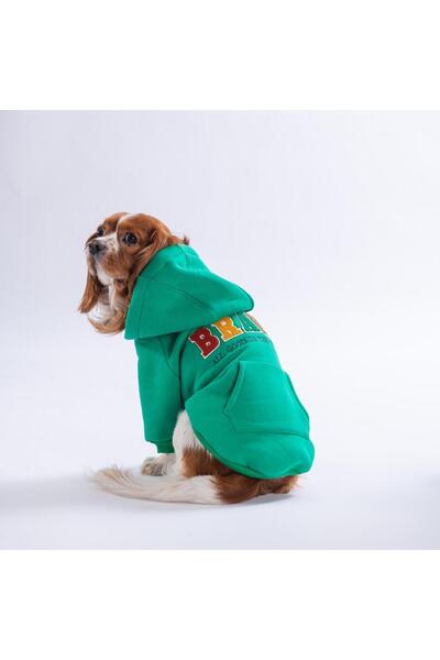 Pawstar Yeşil Bronx Brave Köpek Hoodie Köpek Sweat Köpek Kıyafeti Kedi Kıyafeti