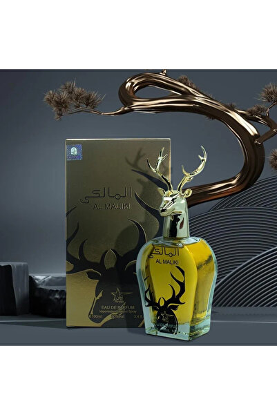 ARYAN Al Maliki - Parfum Barbatesc 100 ML