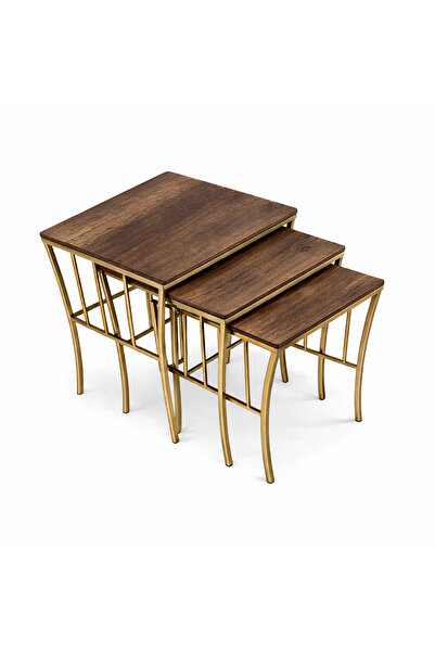 Riyes Tasarım Sepet Model 3 lü Zigon Eskitme Gold Metal Ayaklı Sehpa Seti- Mo...