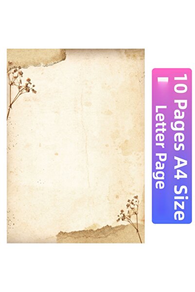 Organik Yolda Beige Dried Flower Detailed Letter Paper (10 Pieces A4 Size)