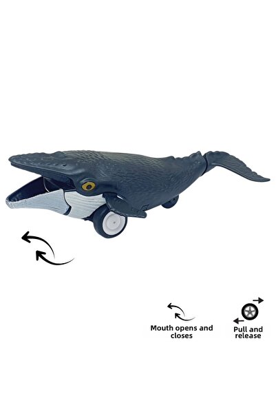 Lisinya Frictional Animals Series - H-53 - Whale (Lisinya) Tygoo